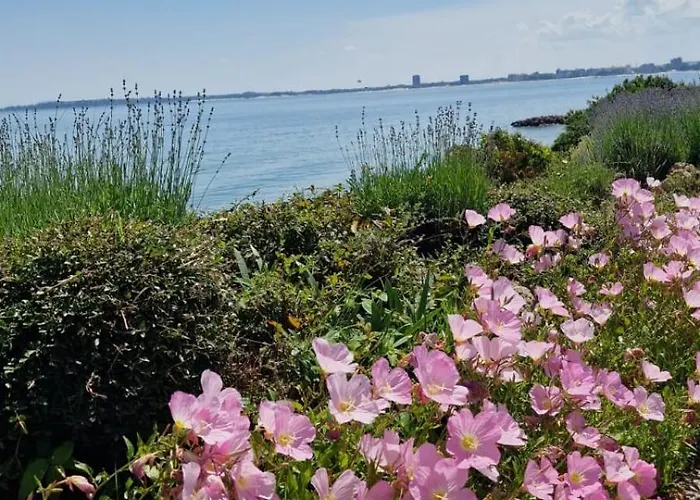 Sorrento Sole Mare V&d Luxury Style Apartment Sveti Vlas